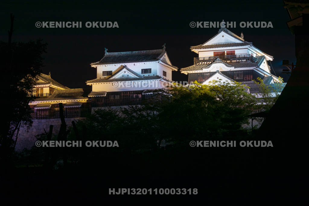 愛媛県　松山城の夜景