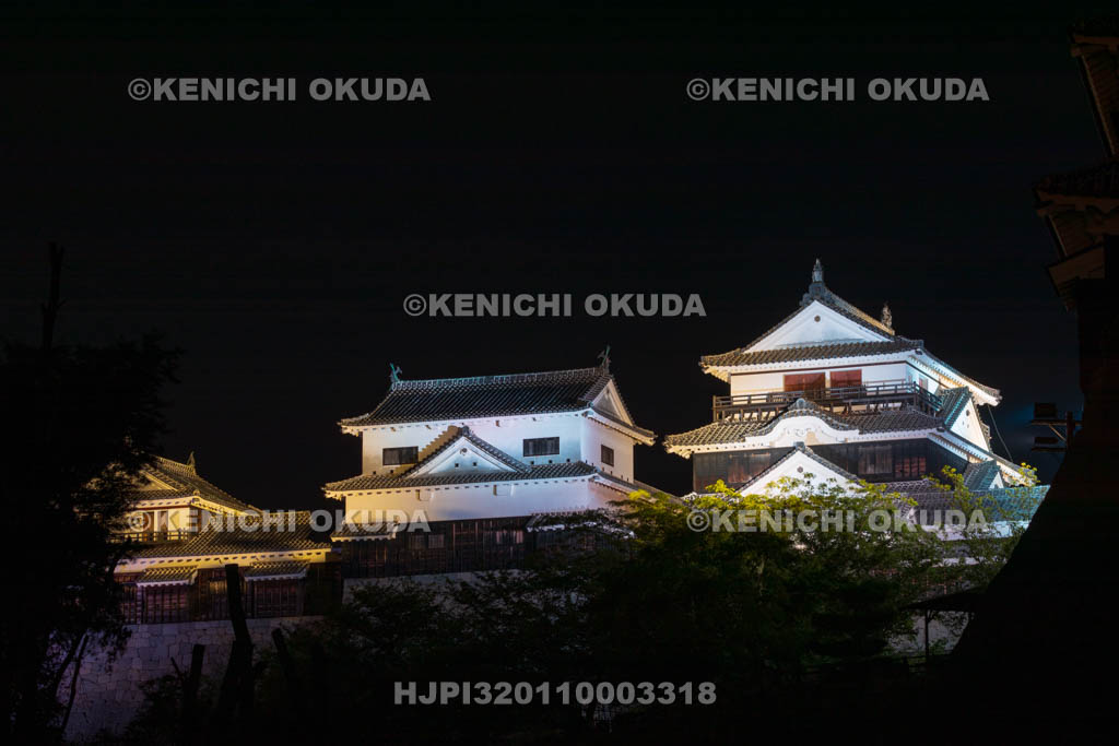 愛媛県　松山城の夜景