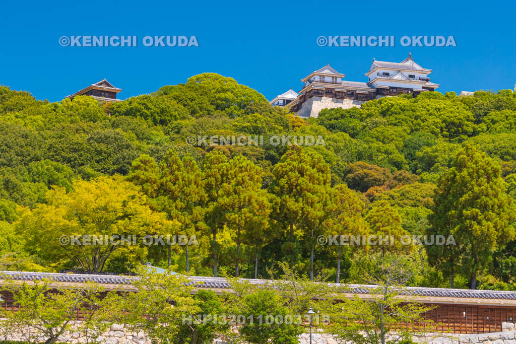 愛媛県　松山城