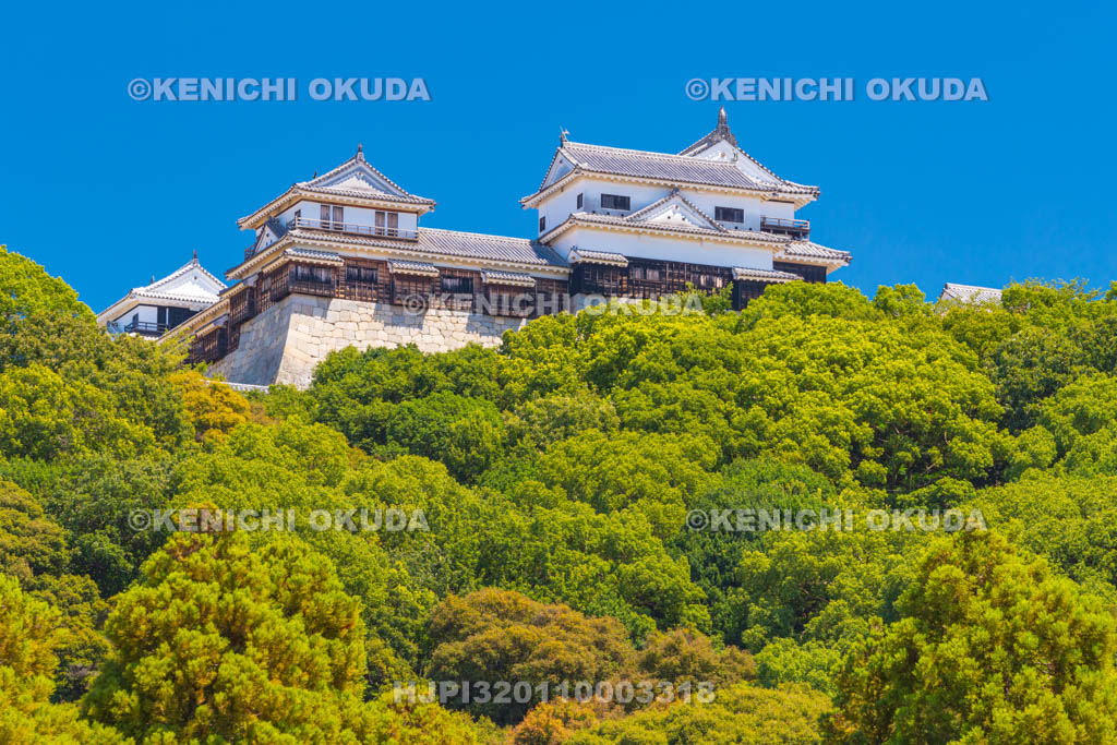 愛媛県　松山城