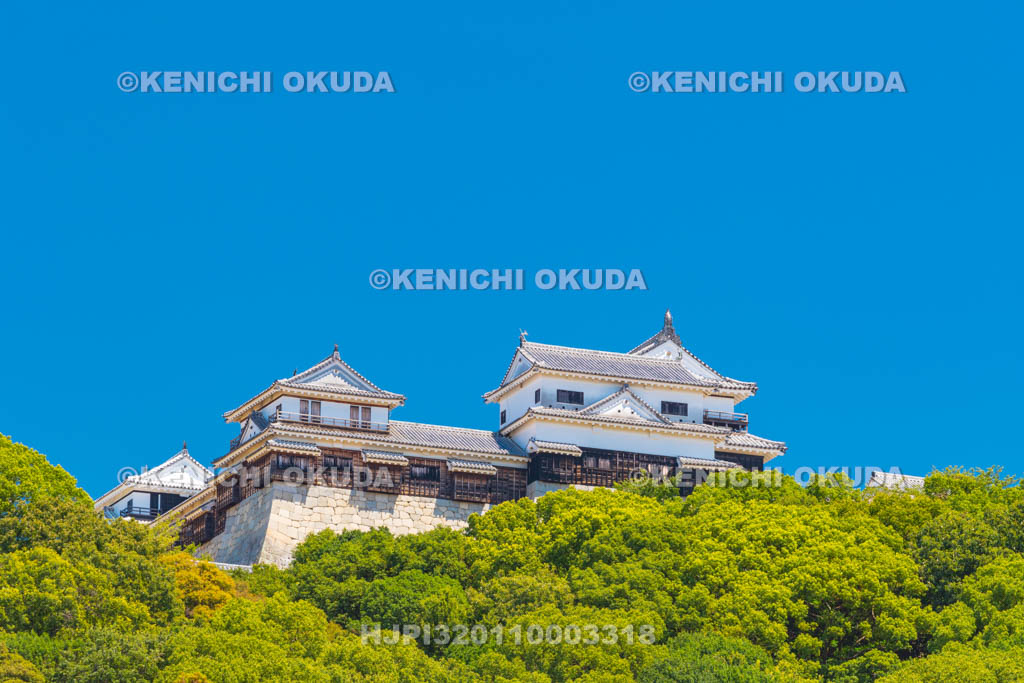 愛媛県　松山城