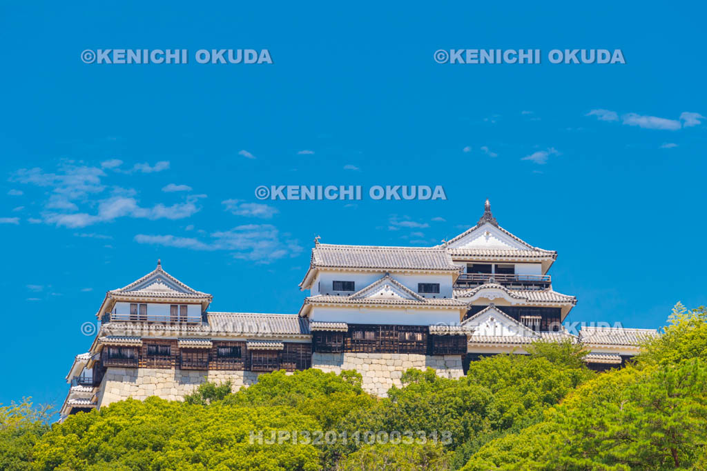 愛媛県　松山城