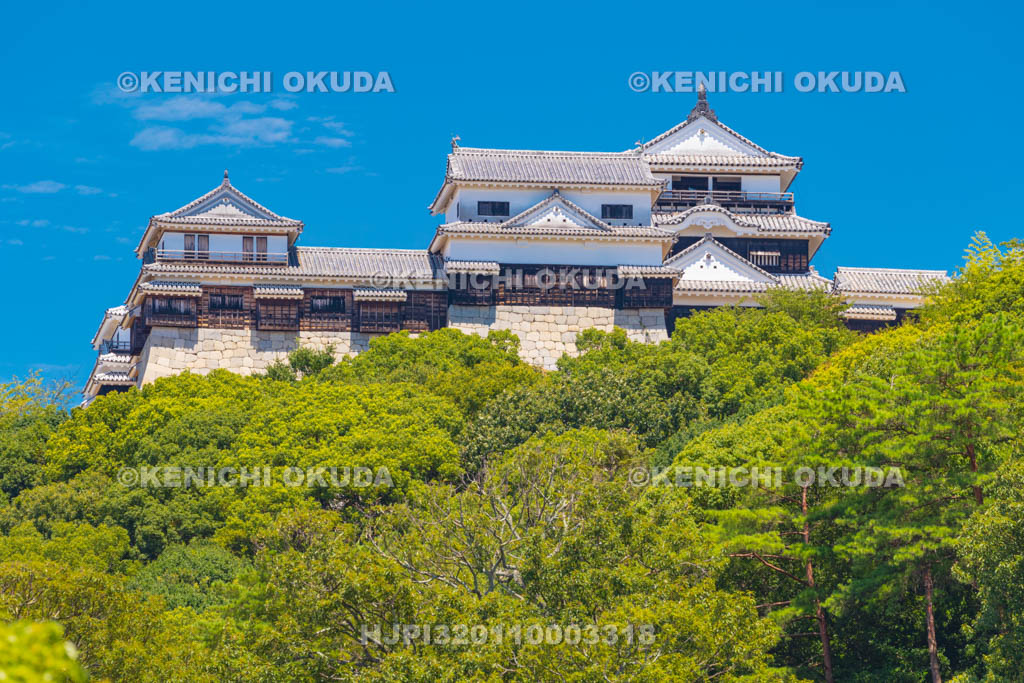 愛媛県　松山城
