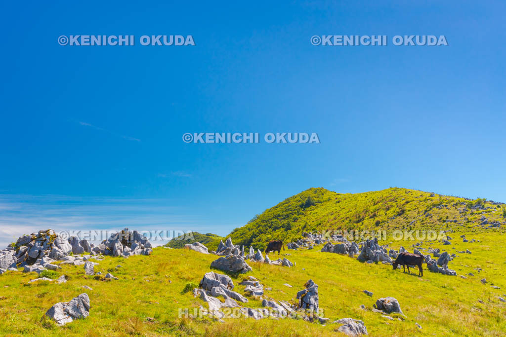 愛媛県　四国カルスト　五段高原付近