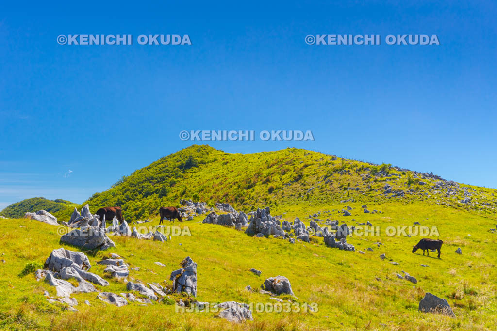 愛媛県　四国カルスト　五段高原付近