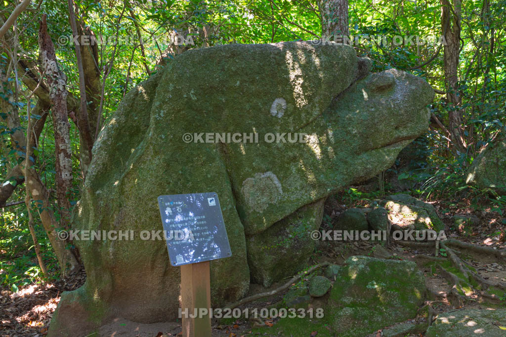 高知県　足摺岬　亀石