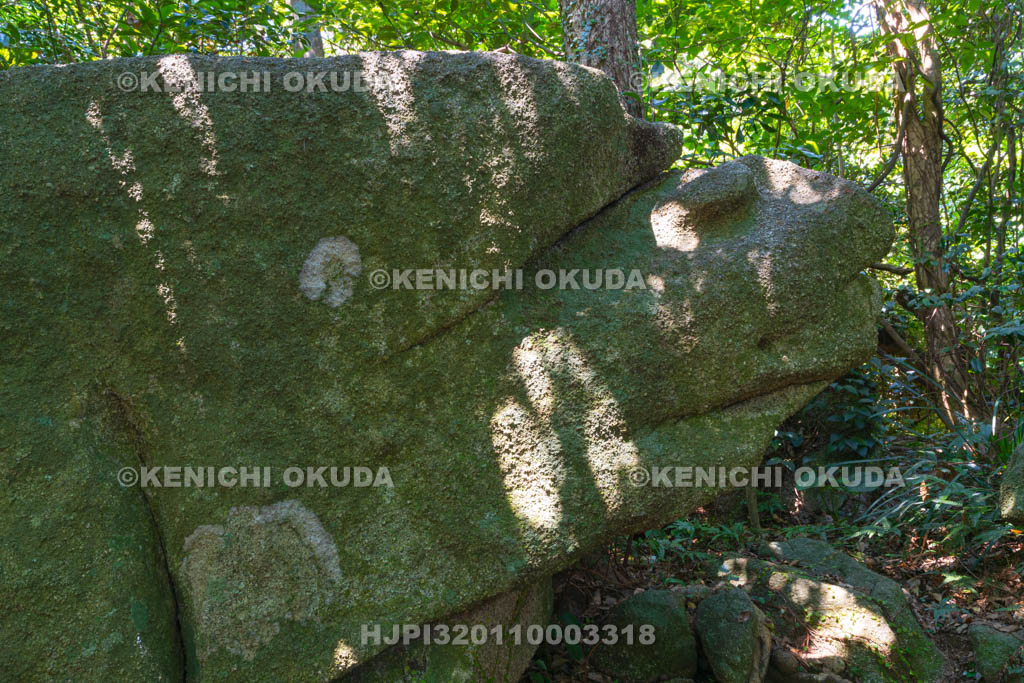 高知県　足摺岬　亀石