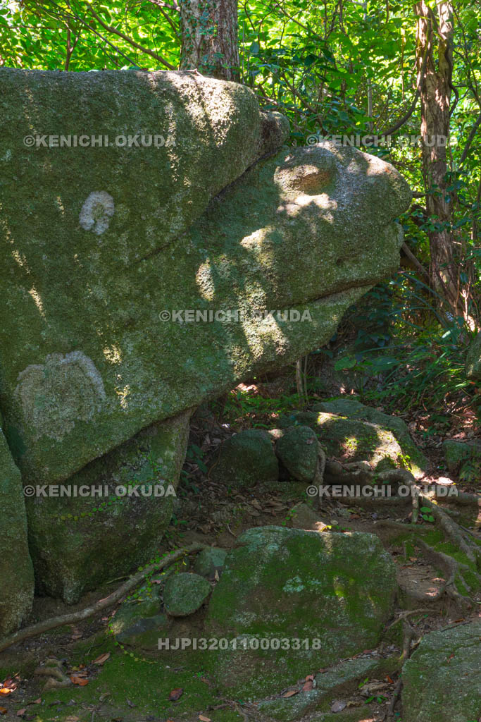 高知県　足摺岬　亀石