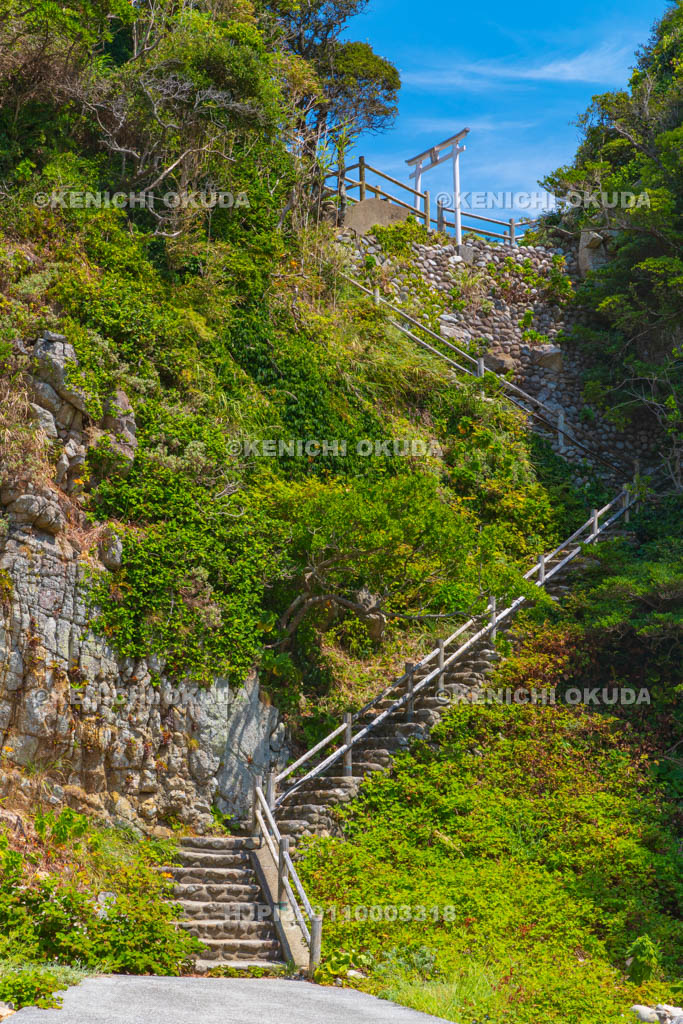 高知県　足摺岬　白山神社　白山本宮の参道