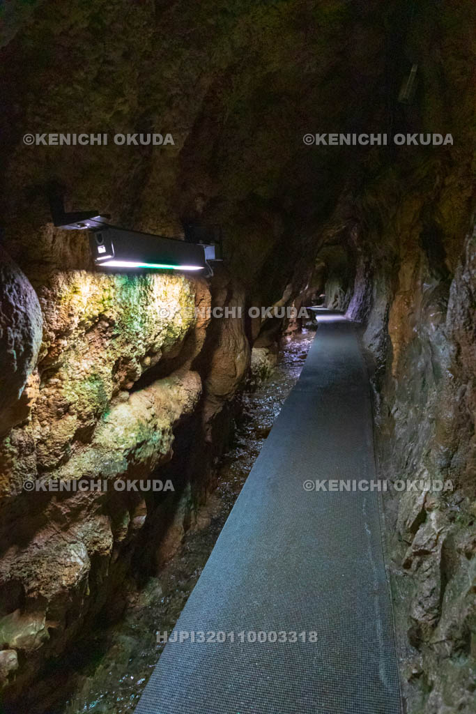 高知県　龍河洞