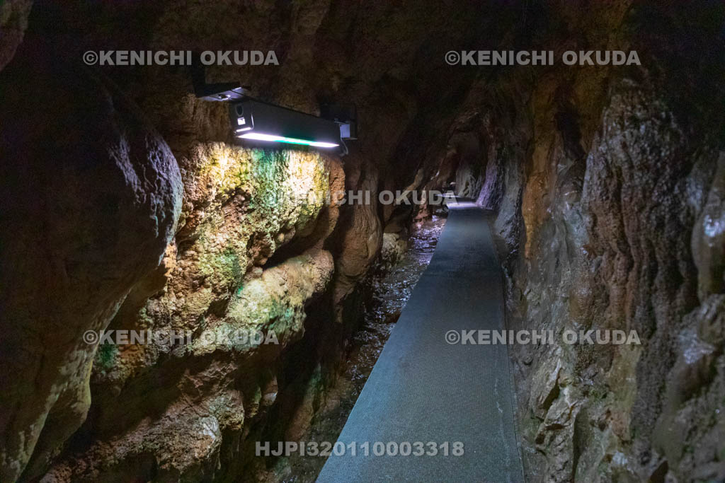 高知県　龍河洞