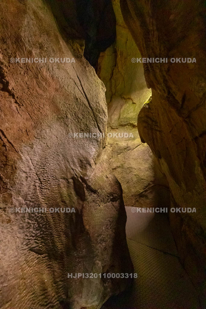 高知県　龍河洞