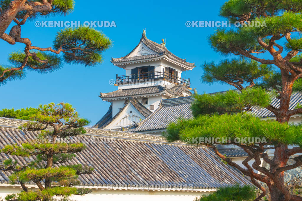 高知県　高知城