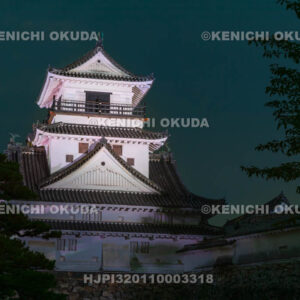 高知県　夜の高知城