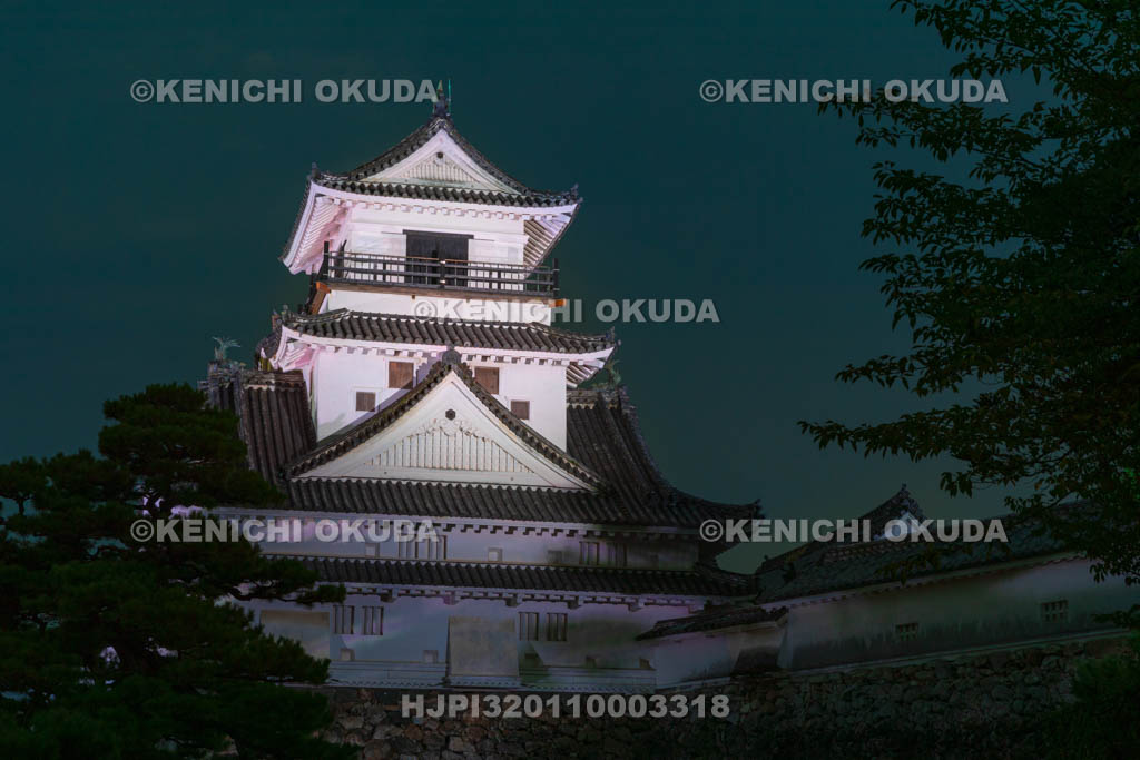 高知県　夜の高知城