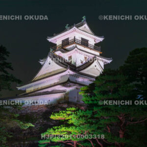 高知県　夜の高知城