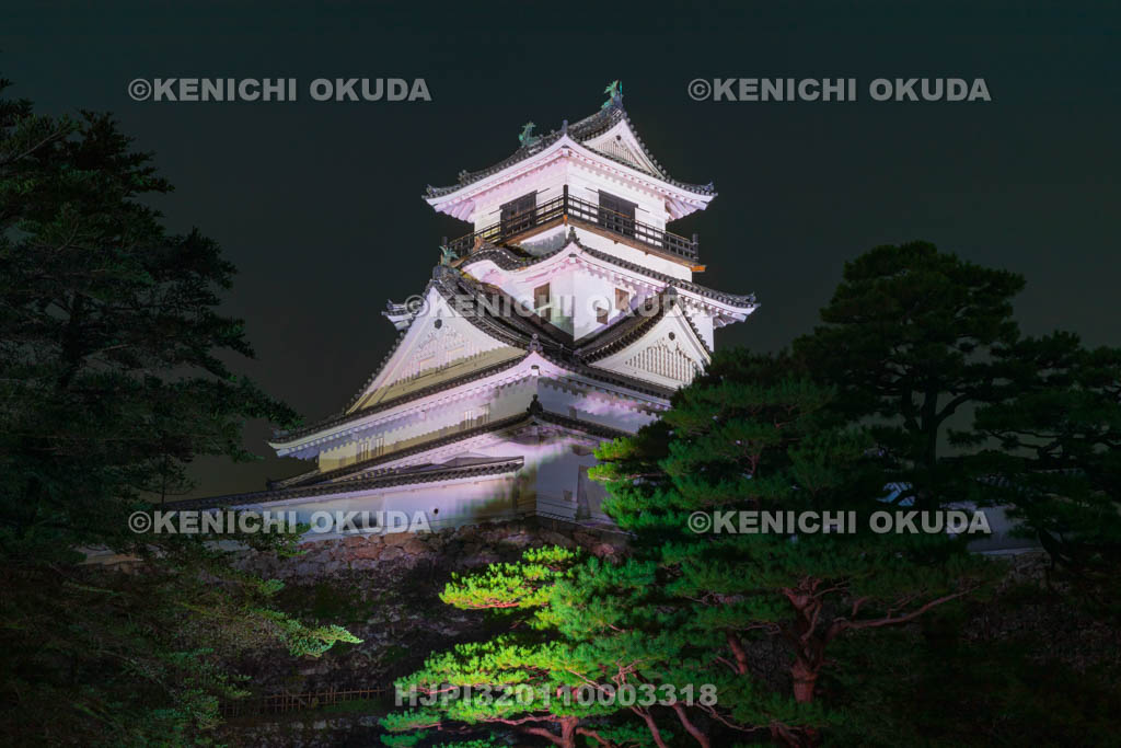 高知県　夜の高知城