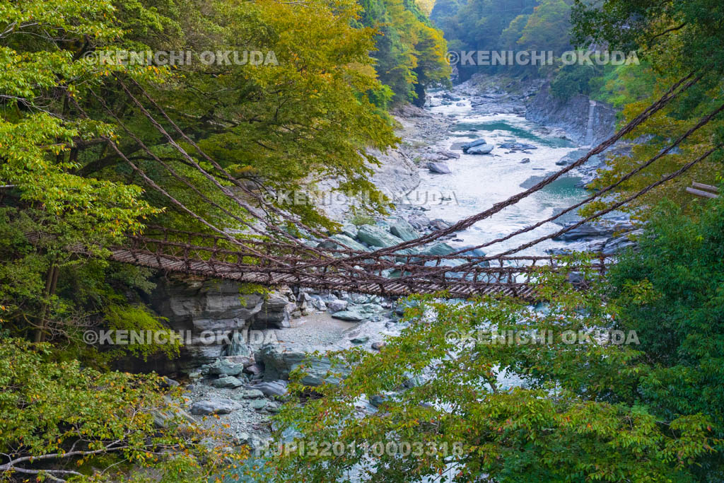 徳島県　祖谷のかずら橋
