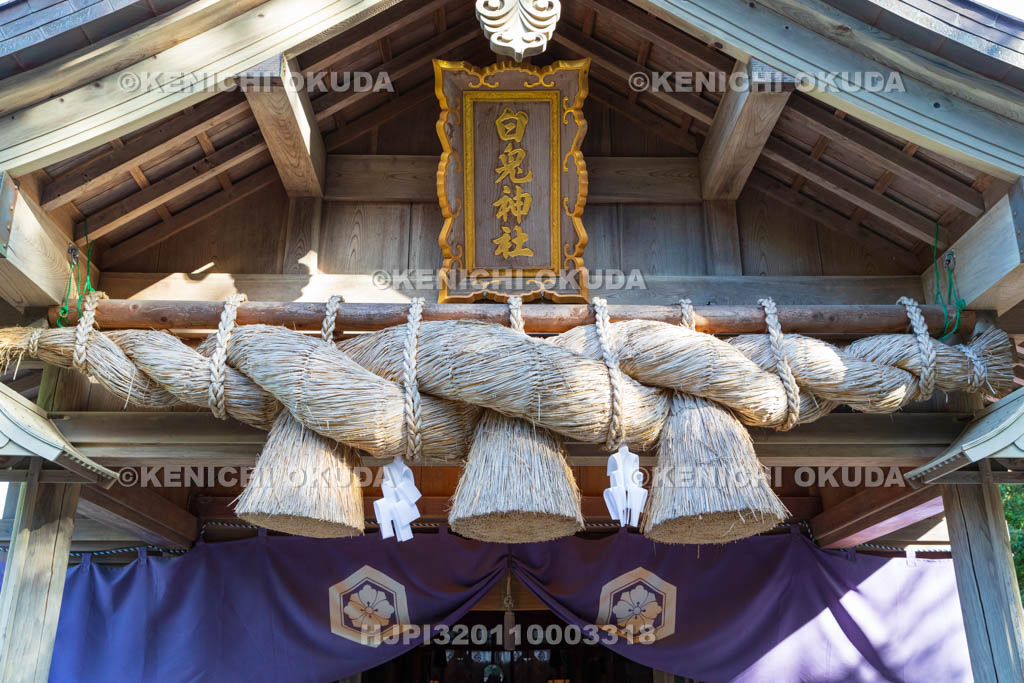 鳥取県　白兎神社　拝殿