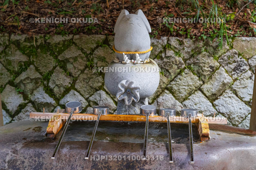 鳥取県　白兎神社　ウサギの手水