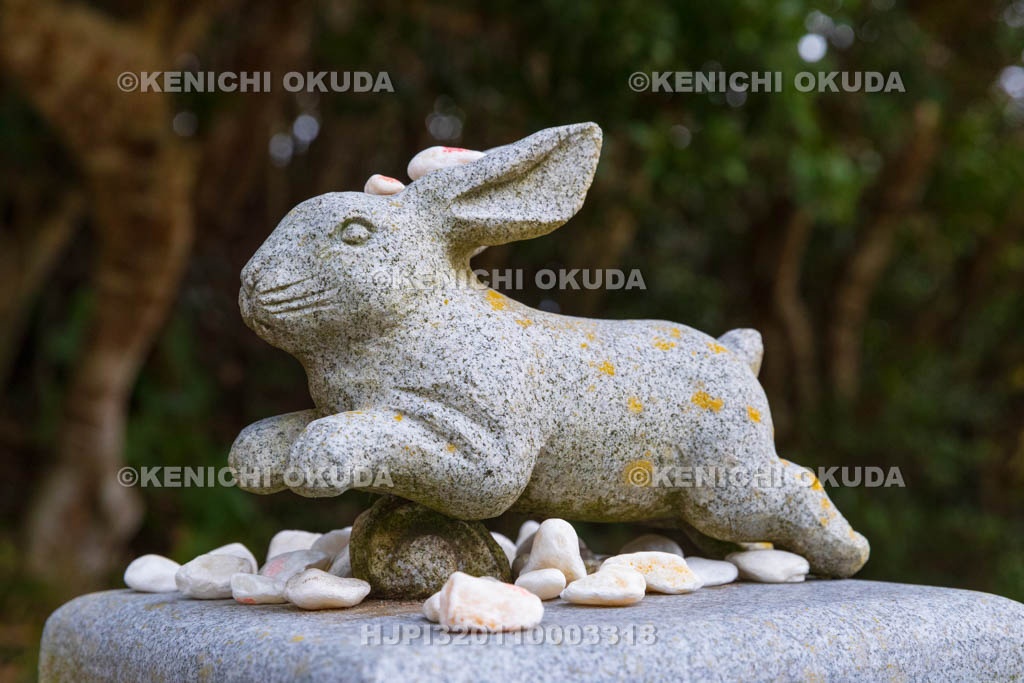 鳥取県 白兎神社 ウサギの像