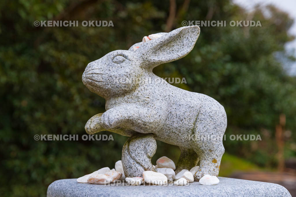 鳥取県　白兎神社　ウサギの像
