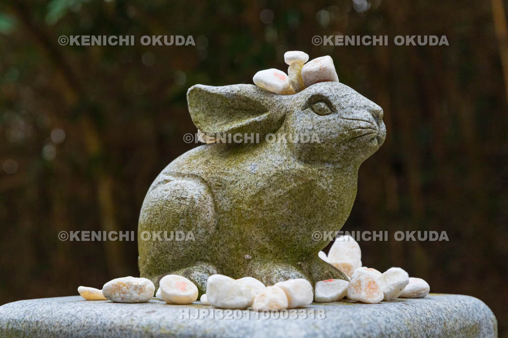 鳥取県 白兎神社 ウサギの像