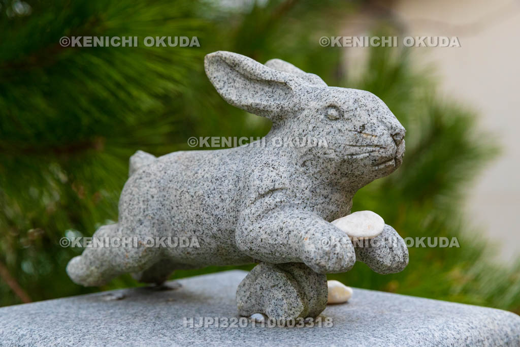 鳥取県 白兎神社 ウサギの像