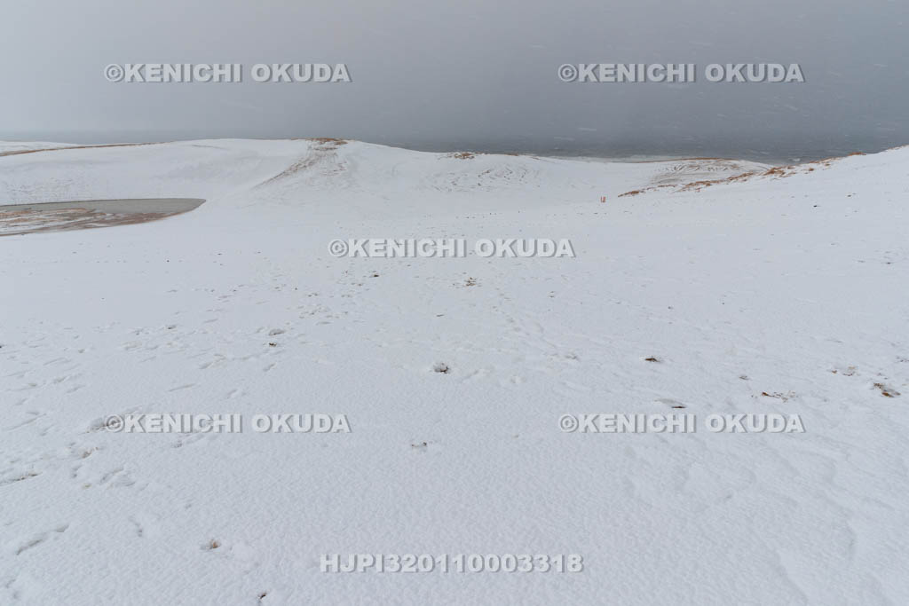 鳥取県 雪の鳥取砂丘
