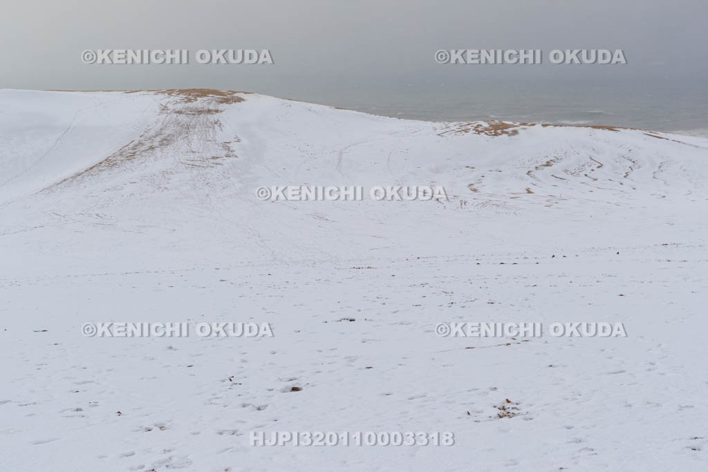 鳥取県 雪の鳥取砂丘