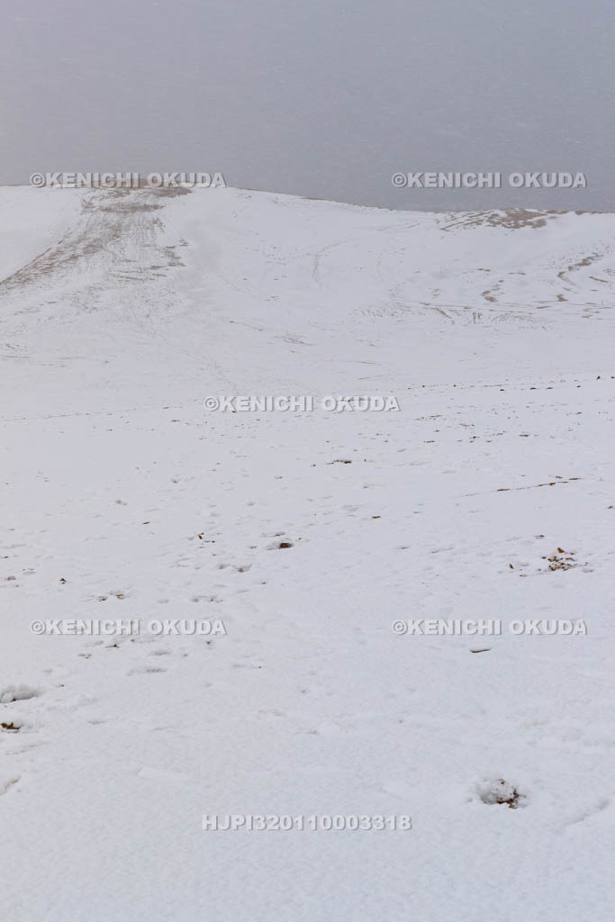 鳥取県　雪の鳥取砂丘