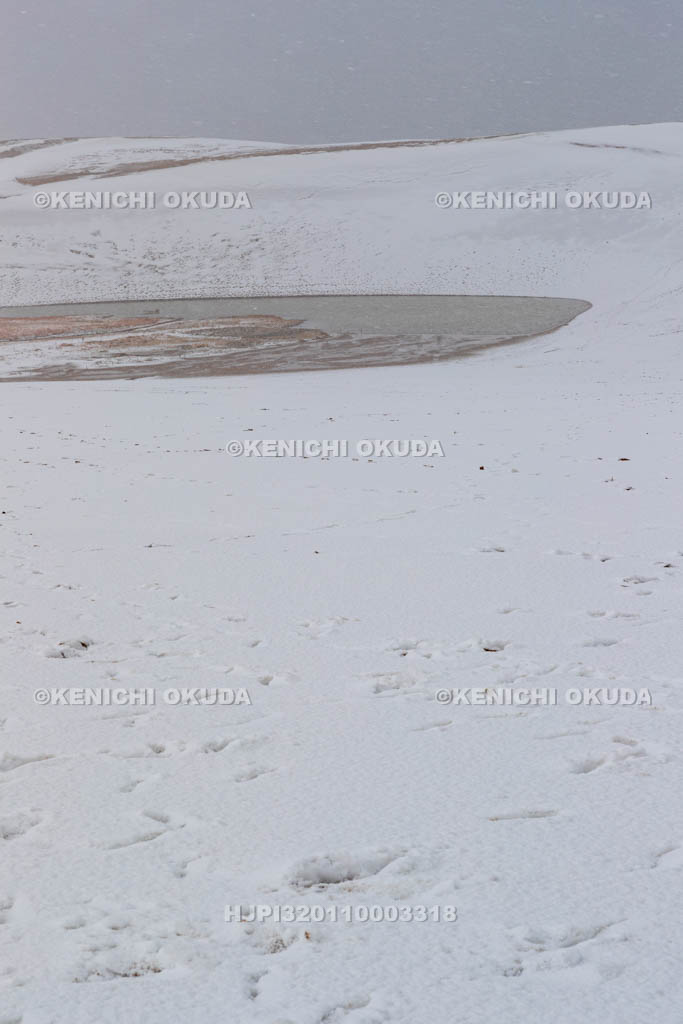 鳥取県 雪の鳥取砂丘