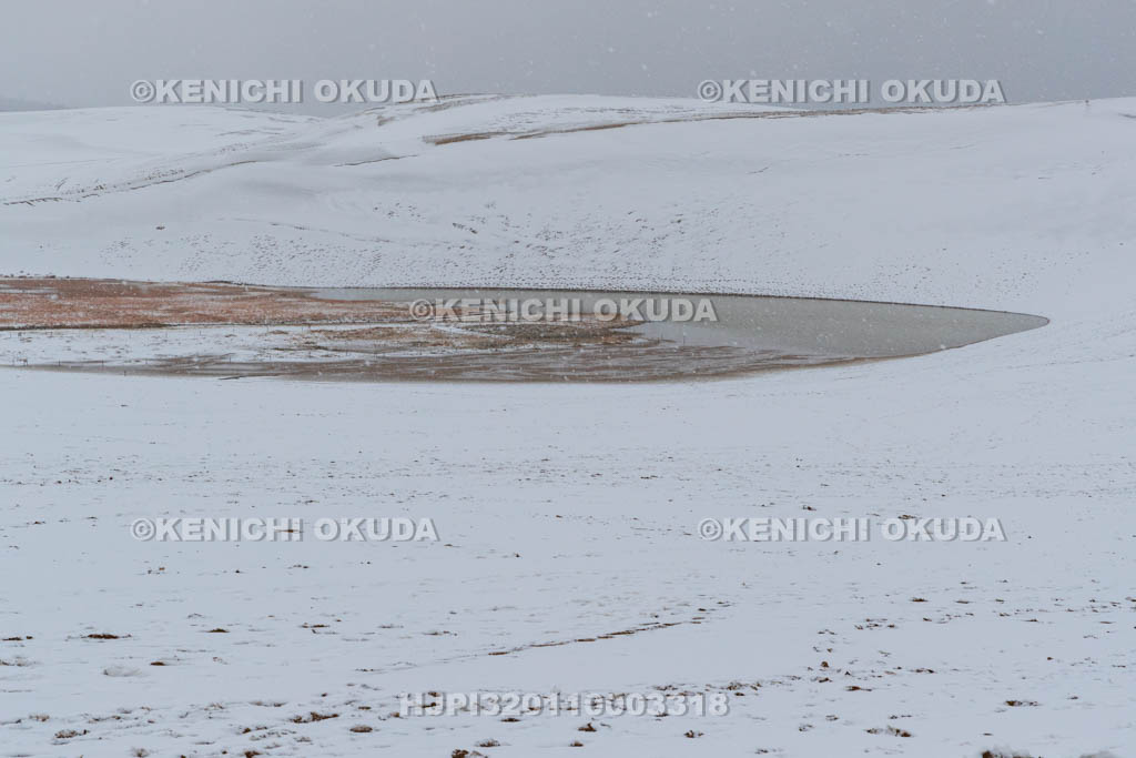 鳥取県　雪の鳥取砂丘