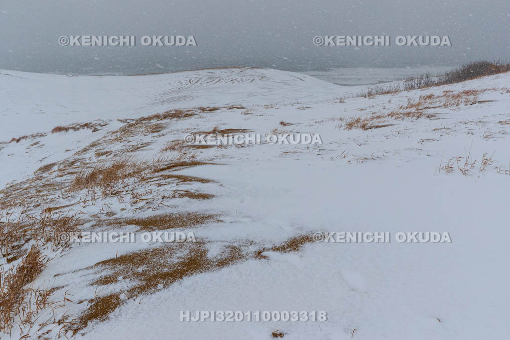鳥取県 雪の鳥取砂丘
