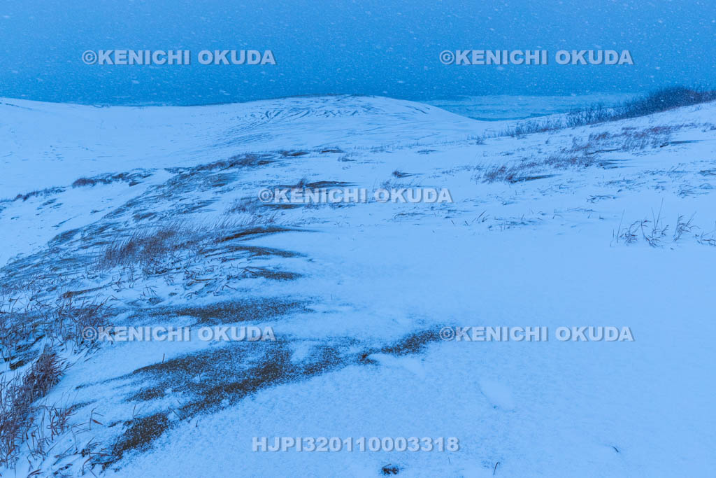鳥取県 雪の鳥取砂丘