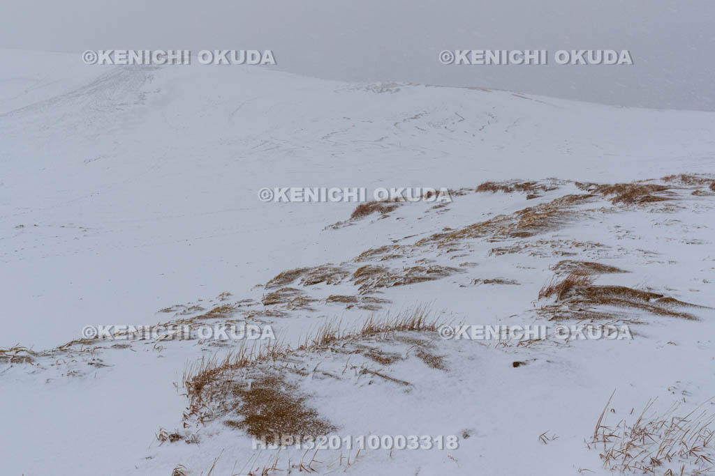 鳥取県 雪の鳥取砂丘