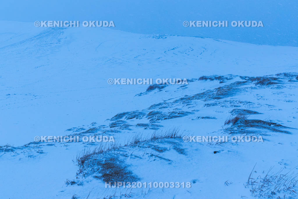 鳥取県　雪の鳥取砂丘