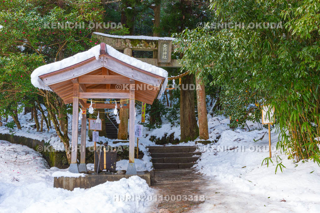 鳥取県 金持神社 参道