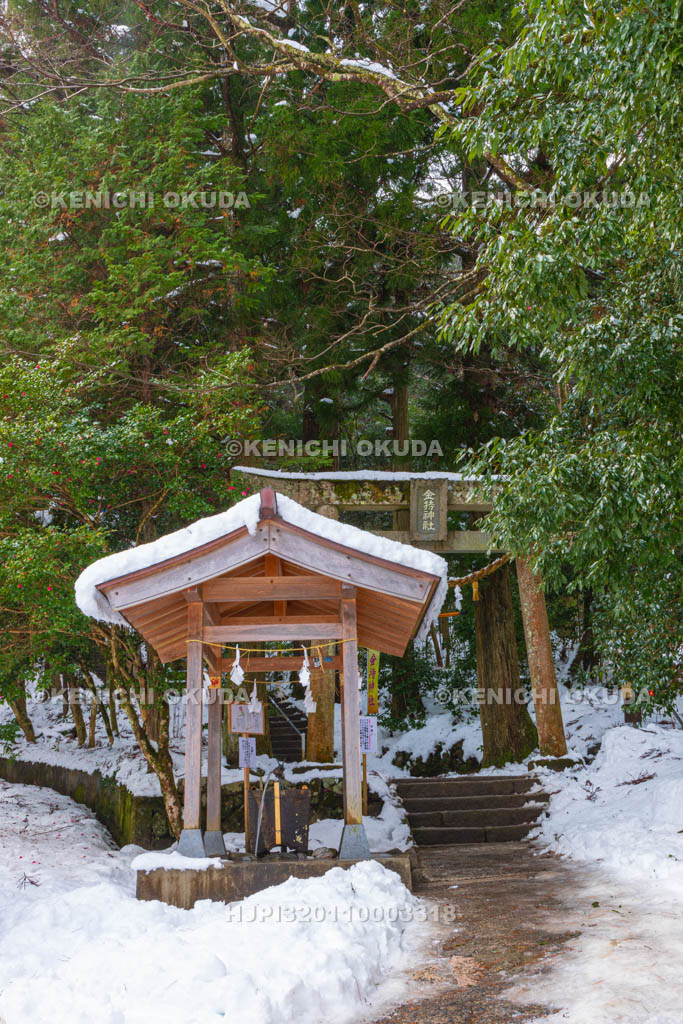 鳥取県 金持神社 参道