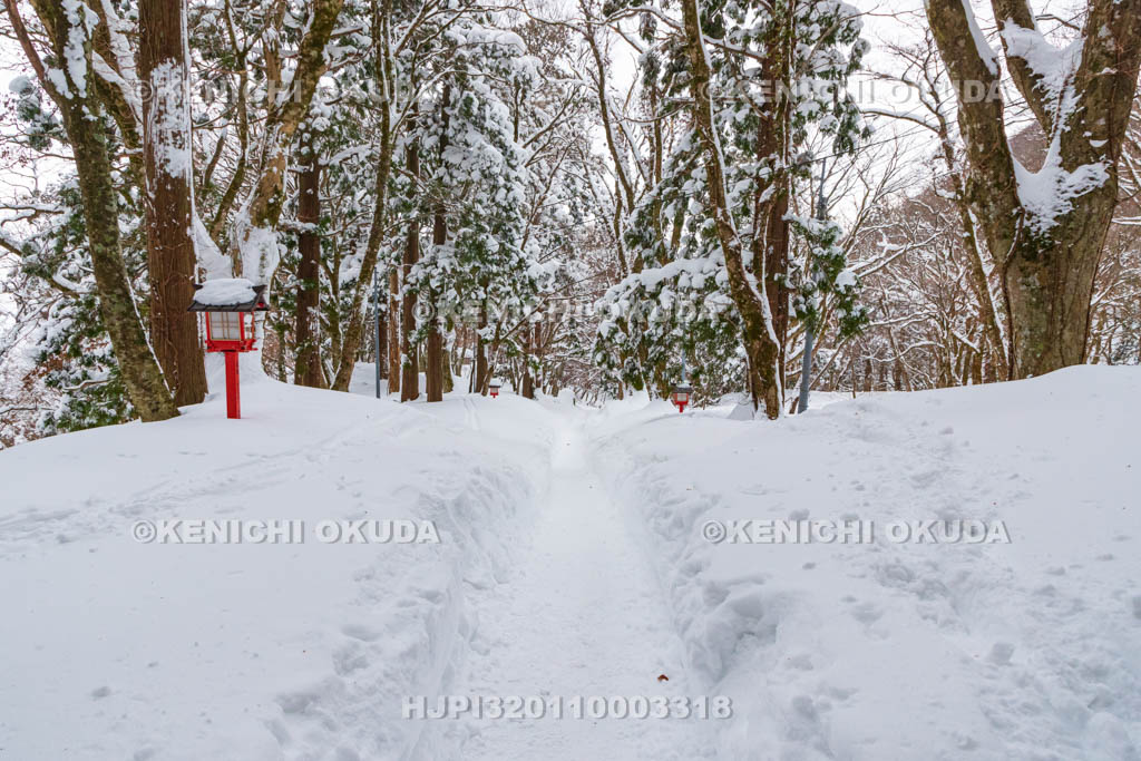 鳥取県　大神山神社奥宮　参道