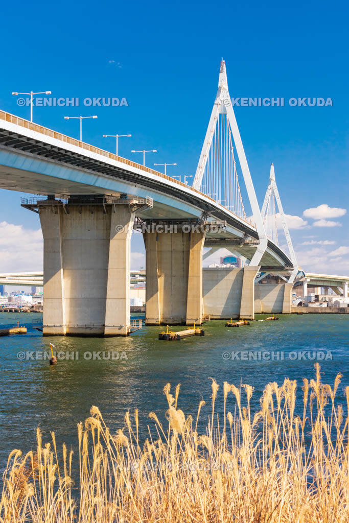 大阪府　此花大橋