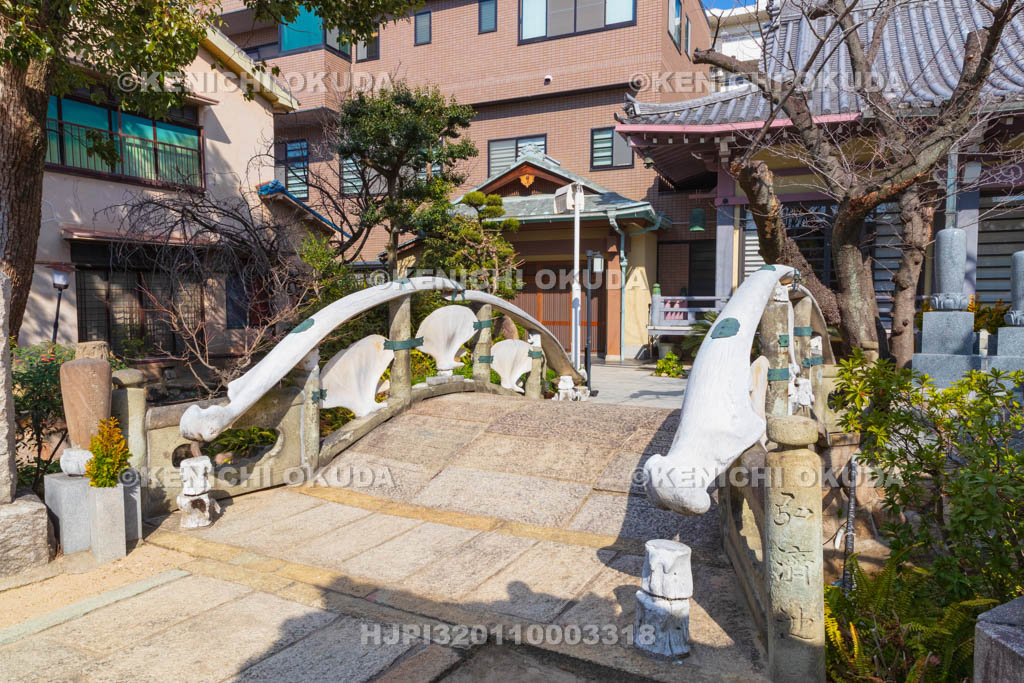 大阪府　瑞光寺　雪鯨橋