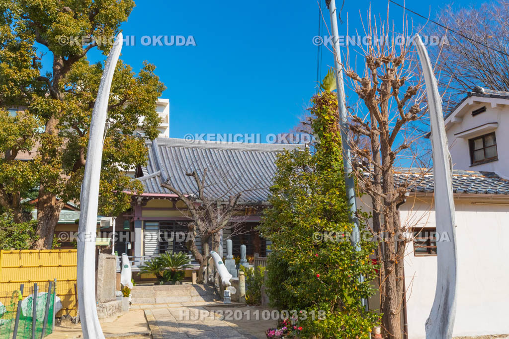 大阪府　瑞光寺