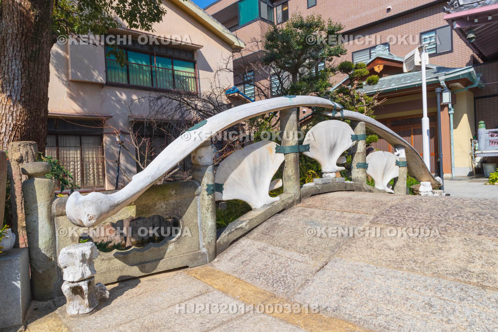 大阪府　瑞光寺　雪鯨橋