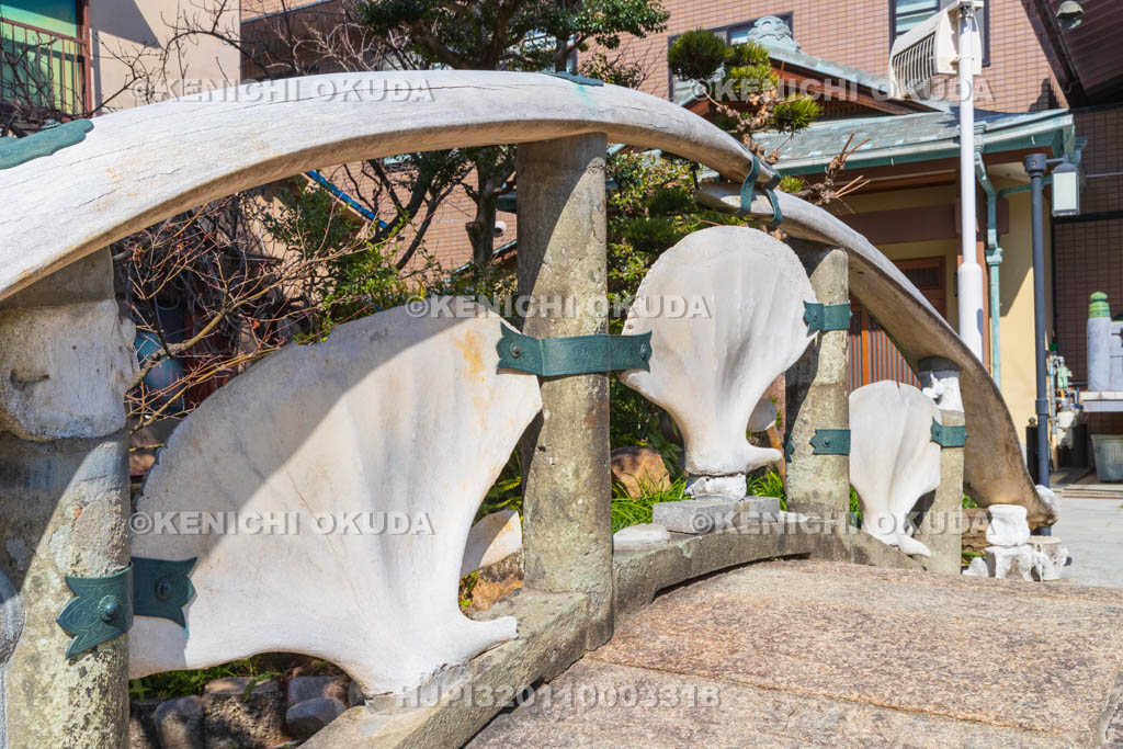 大阪府　瑞光寺　雪鯨橋