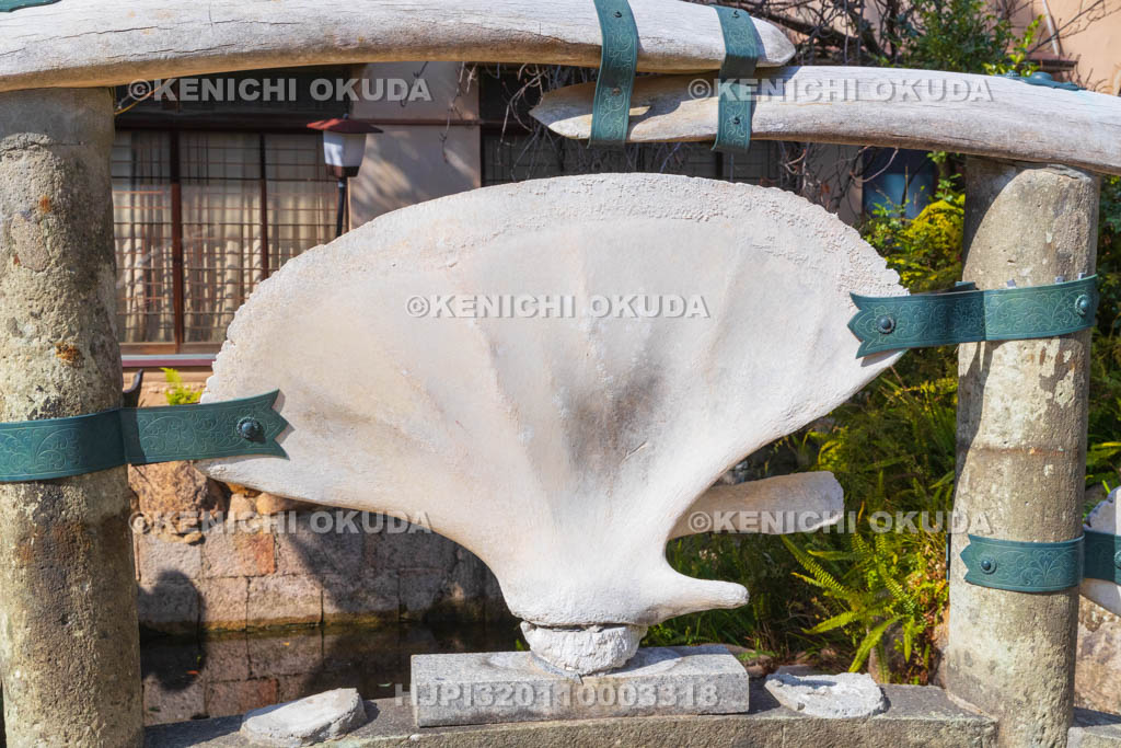 大阪府　瑞光寺　雪鯨橋