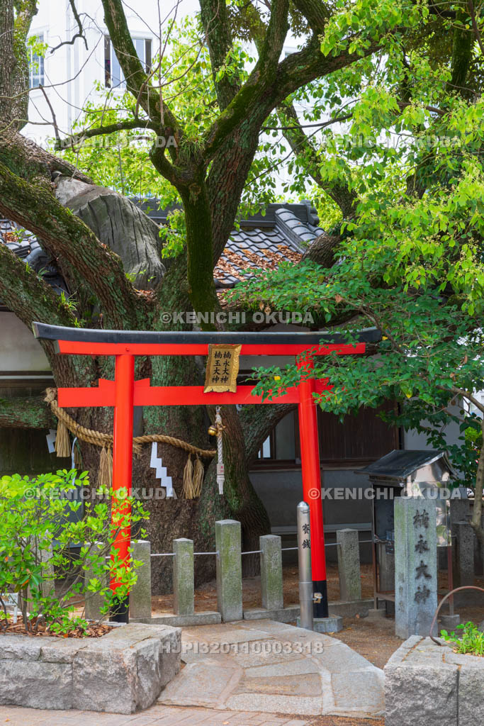 大阪府　靱公園　楠永神社