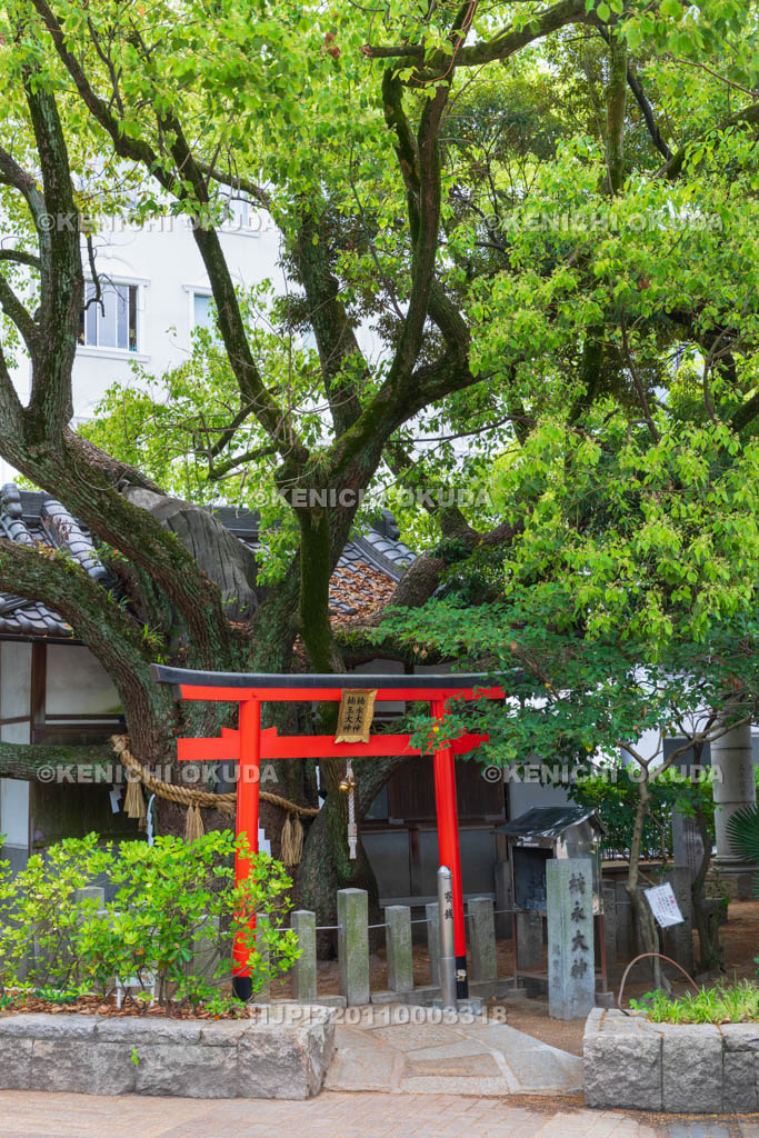大阪府　靱公園　楠永神社