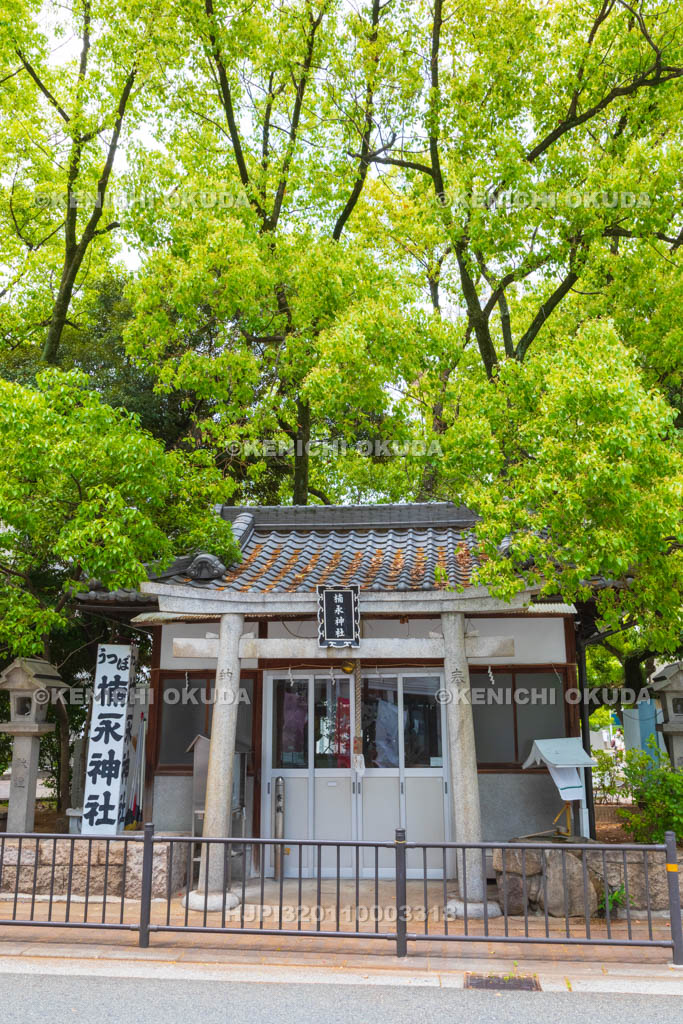 大阪府　靱公園　楠永神社