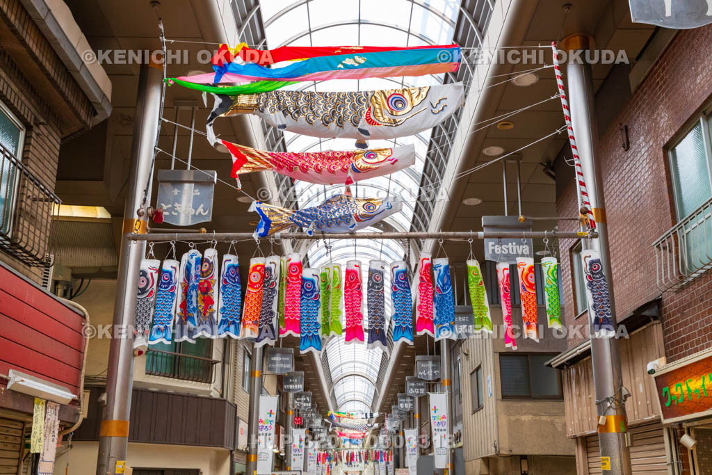 大阪府　キララ九条商店街　鯉のぼり